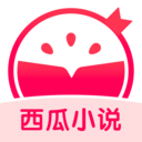 西瓜小说app最新版