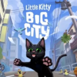 小猫咪大城市