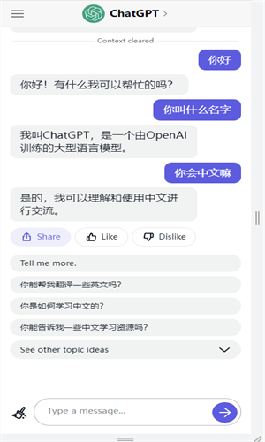 ChatGPT中文免费版截图3