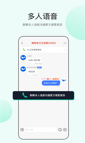 海鸥聊天软件