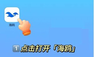 海鸥聊天软件