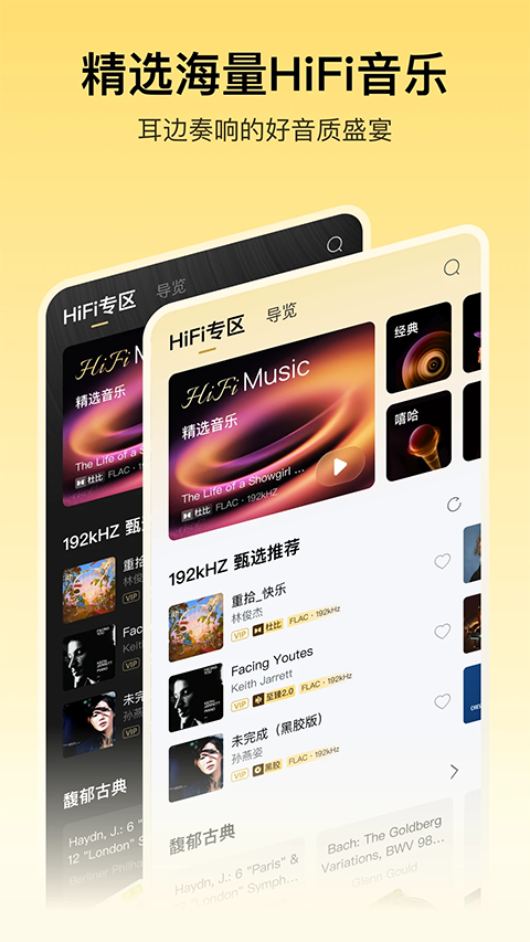 酷我音乐2010版