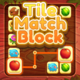 平铺匹配方块(Tile Match Block)
