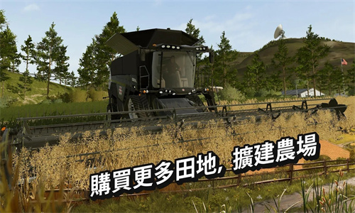 模拟农场20中国卡车版(FS20)截图4