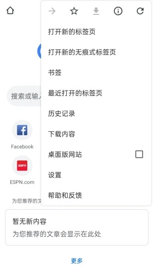 Chrome浏览器截图1