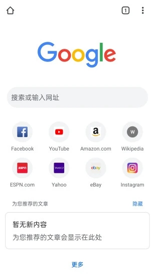 Chrome浏览器截图2