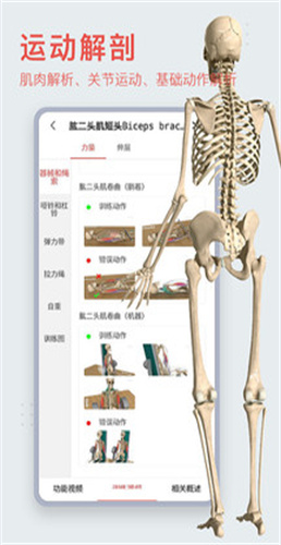 3dbody解剖截图1