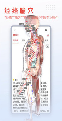 3dbody解剖截图3