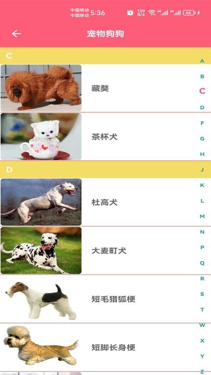 宠物宝宝大全app截图2