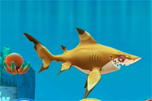 饥饿鲨世界破解版游戏合集