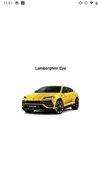 lamborghinieye兰博基尼之眼行车记录仪app截图2