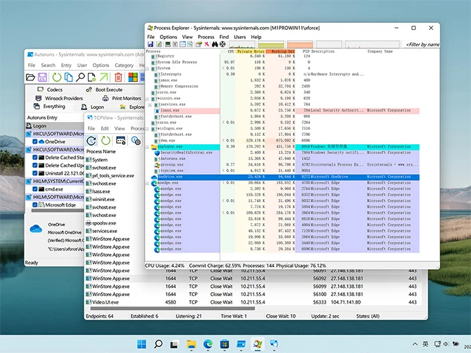 Sysinternals Suite工具包截图0