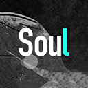 Soul5.3版本