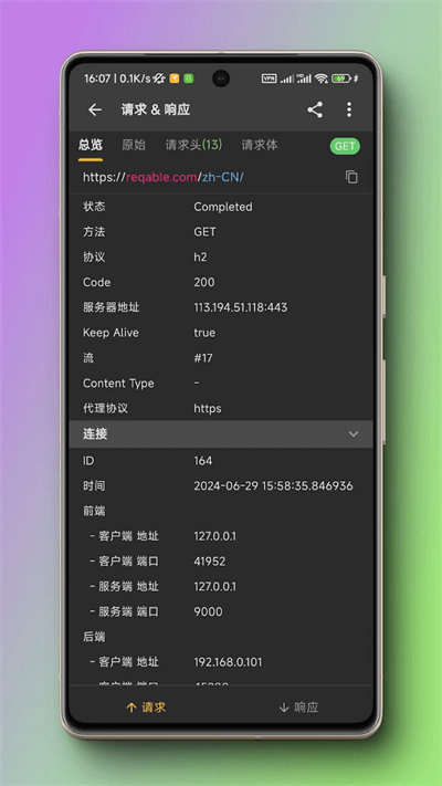 黄鸟抓包高级版截图1