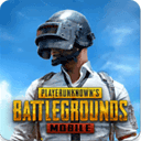 绝地求生国际服pubg