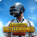 和平精英国际服pubg