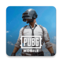 Pubg国际服地铁逃生最新版本