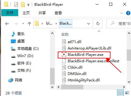 黑鸟播放器电脑版(BlackBird Player)