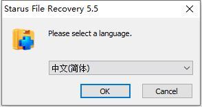 Starus File Recovery(数据恢复软件)