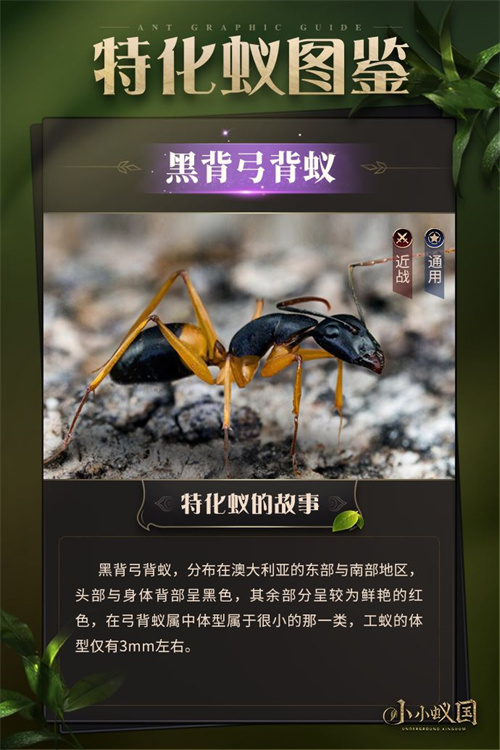小小蚁国蚂蚁图鉴 蚂蚁有哪些