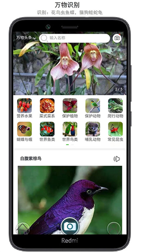 万物识别app