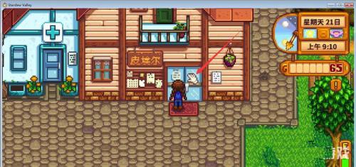 Stardewvalley联机版