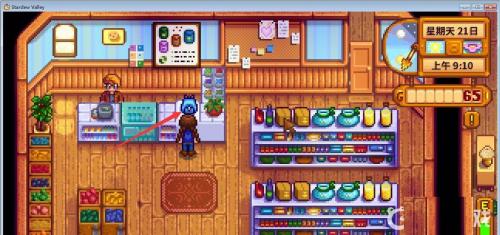 Stardewvalley联机版