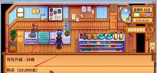 Stardewvalley中文版