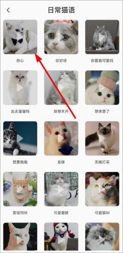 猫语翻译器app免费版